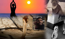 Tuhaf, ilginç ve sıra dışı...