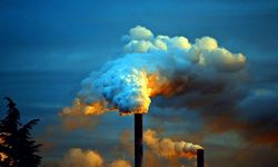 CHP’li Pala: Ağır metal kirliliğinde Türkiye toprakları büyük risk altında