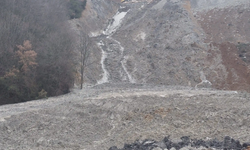 Bursa'da çevre felaketi: Uzmanlardan açıklama geldi