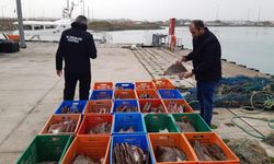 Kaçak avlanan 850 kilo kalkan balığına el konuldu