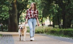 "Köpek gezdirirken sakata gelmeyin"