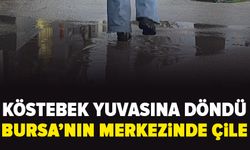 FSM Bulvarı’nda yaya ve bisiklet çilesi