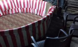 Horoz dövüştürenlere 990 bin lira ceza