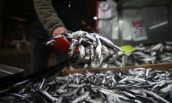 Hamsi tezgahlardaki tahtına yeniden oturdu