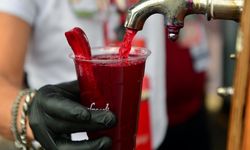 Adana şalgamı AB'den coğrafi işaret tescili aldı