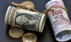 Dolar'da yeni rekor geldi