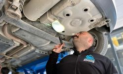 Aracın alt kısmından çıkan şoke etti