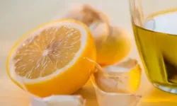 Limon ithalatında yeni dönem