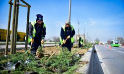 Bursa'da cadde ve bulvarlara estetik dokunuş