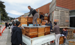 Arıcılık Bursa'da Büyükşehir'le canlandı