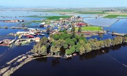 Venedik değil Ege: Halk evine sandalla ulaşıyor