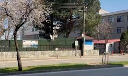 Bursa'da 7 yaşındaki ilkokul öğrencisi hayatını kaybetmişti: Sebebi belli oldu