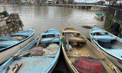 Bursa'da istilacı İsrail sazanları balıkçılara gelir kaynağı oldu