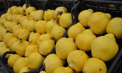 Bursa'da markette ayvanın kilosu 300 TL