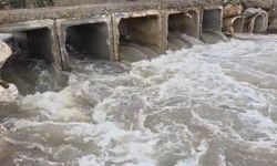 Kuruyan dere coştu, İznik Gölü’ne umut oldu