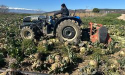 Bursa'da ne çiftçi kazandı ne de tüketici ucuza yedi