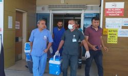 Bursa'da organlarıyla 4 kişiye umut oldu