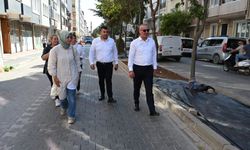 Karacabey'de park ve bahçelerde göz dolduran çalışmalar