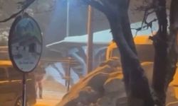 Uludağ'da kış uykusundan uyanan ayı ailesi yemek için Sarıalan'a indi