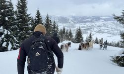 2 bin 100 rakımlı kışlada aylarca kar altında mahsur kalan atları köyün gençleri kurtardı