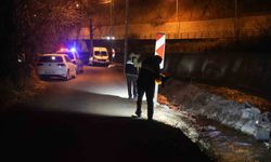 Alzheimer hastası yaşlı adam Harşit Çayı'nda ölü bulundu