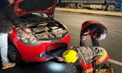Aracın motoruna giren tilki ekiplerce kurtarıldı