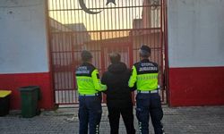 Aydın'da göçmen kaçakçılığı operasyonu: 12 düzensiz göçmen yakalandı