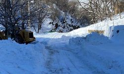 Batman'da karla mücadele çalışmaları sürüyor