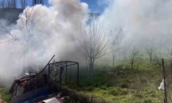 Bilecik'te bağ evinde çıkan yangın korkuttu