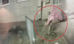 'Bir kafeden daha fazlası' yazısını fark etti, ağacı sırtlayıp gitti O anlar kamerada