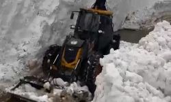 Bitlis'te çığ ve heyelan meydana geldi