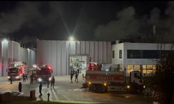 Çerkezköy OSB'de fabrika yangını kontrol altına alındı