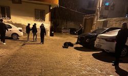 Cizre'de silahlı saldırgan tutuklandı