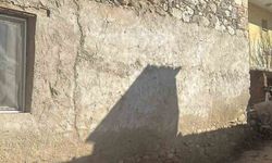 Depreme uyanan kadın dua ederek sarsıntının geçmesini bekledi