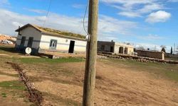 Direği oyup kaçak hat çekmişler