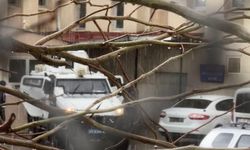 Eşini öldürüp, kuzenini ağır yaralayan şahıs mahkemeye sevk edildi