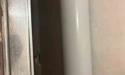 Gri kategoride aranan FETÖ firarisi Şadan Sakınan yakalandı