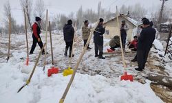 Hakkari Durankaya'da ahır çöktü 5 hayvan telef oldu