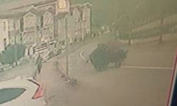 Kastamonu'da lastiği fırlayan tarım aracı takla attı: 1 yaralı