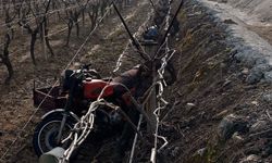 Manisa'da sepetli motosiklet üzüm bağına uçtu: 1 ölü