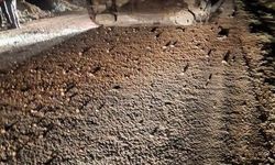 Mazıdağı'nda otomobil takla attı: 5 yaralı