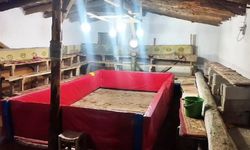 Muş'ta horoz dövüşü yapan 23 kişiye ceza