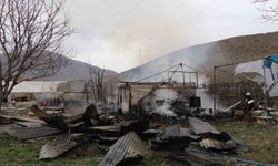 Oltu'da korkutan yangın: Arı kovanları yandı