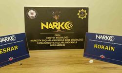 Ordu'da uyuşturucu operasyonlarında 4 tutuklama