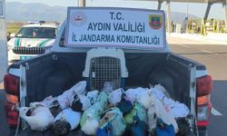 Otobüs bagajından hayvanat bahçesine