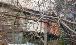 Pendik'te tek katlı ev alevlere teslim oldu