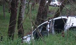 Pendik'te virajı alamayan sürücü ağaca çarptı