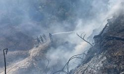 Samandağ'da bahçede çıkan yangın büyümeden söndürüldü