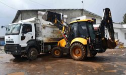 Şanlıurfa'da 50 ton bozuk tavuk ele geçirildi