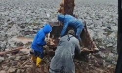 Şanlıurfa'da çamura saplanan inek kepçe yardımıyla kurtarıldı